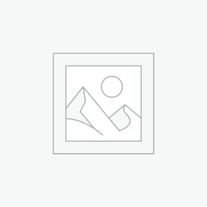 28’li Fantom Etli Çene ve Dişleri